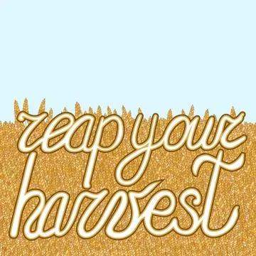 Abstract vector cartoon doodle wheat background イラスト素材
