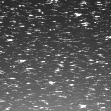 Abstract vector grayscale space background. Threads of glowing particles and  Illustrazione stock