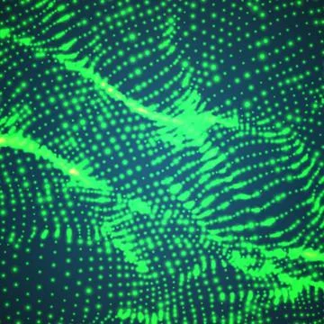 Abstract vector green wave mesh background. Point cloud array. Chaotic light  스톡 일러스트