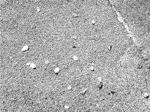 Abstract vector grunge texture with scattered fallen leaves on asphalt Stockillustratie