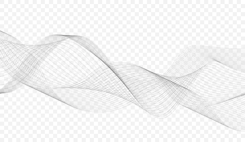 Abstract vector illustration with black wavy lines flowing dynamic isolated on Stock Illustration