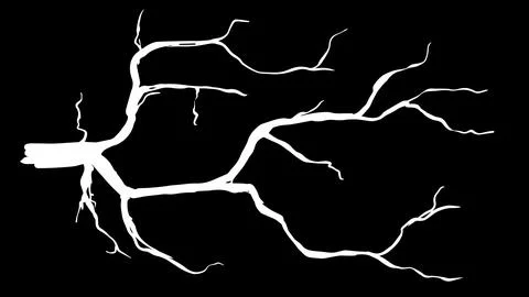 Abstract vector illustration of bright white lightning bolts branching across a Stock Illustration