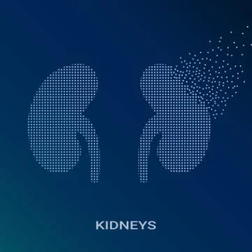 Abstract Vector Illustration Of Human Kidneys On Blue Background. Pixel Art Logo Stock Illustration