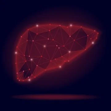 Abstract vector illustration of human liver on black background. Stock Illustration