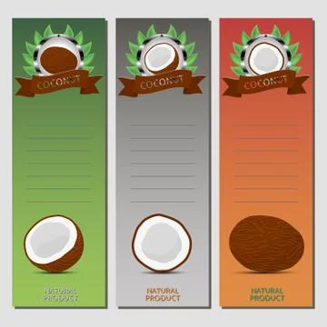 Abstract vector illustration logo for whole ripe fruit white coconut イラスト素材