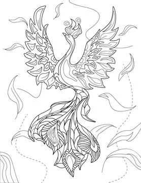 Abstract vector line drawing stylized elegant phoenix flowy feather background Stock Illustration
