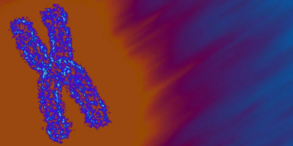 Abstract vector mesh background with chromosome. Human chromosome in orange a Illustrazione stock