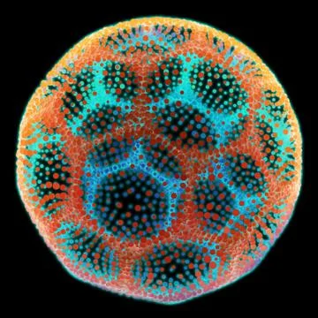 Abstract vector mesh spheres with glow. Molecule structure. Futuristic techno Illustrazione stock