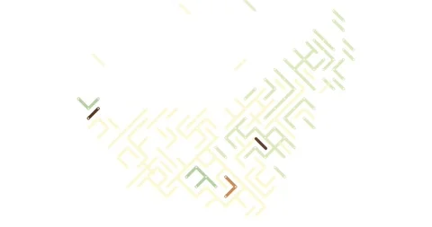 Abstract Vector Particles Sliding to Form United Arab Emirates Map Stock Footage 323387391