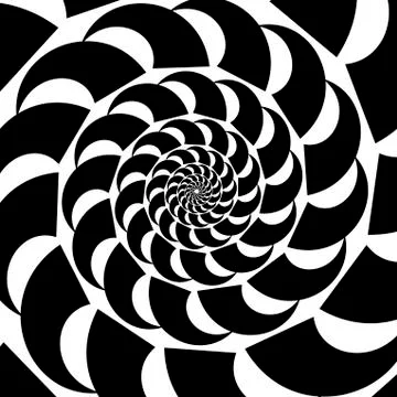 Abstract vector shell. Spiral shape, shell. Design element on white backgroun 스톡 일러스트