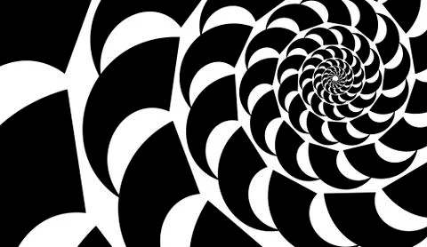 Abstract vector shell. Spiral shape, shell. Design element on white backgroun Stock Illustration