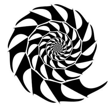 Abstract vector shell. Spiral shape, shell. Design element on white backgroun Stock Illustration