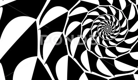 Abstract vector shell. Spiral shape, shell. Design element on white backgroun Illustration