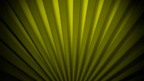 Abstract vector sun Stock Footage 95308269