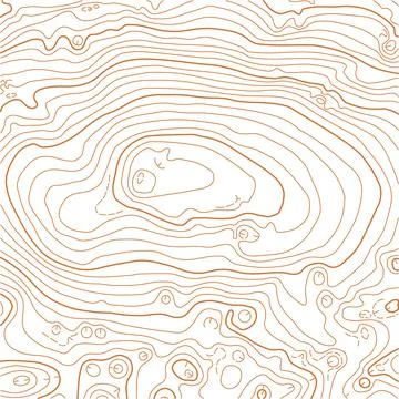 Abstract vector topographic map on white background Stock Illustration