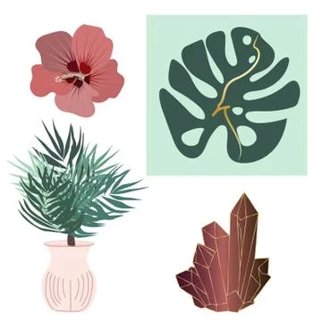 Abstract vector  tropics set of hibiscus flower, monstera leaf, potted palm a Stock Illustration
