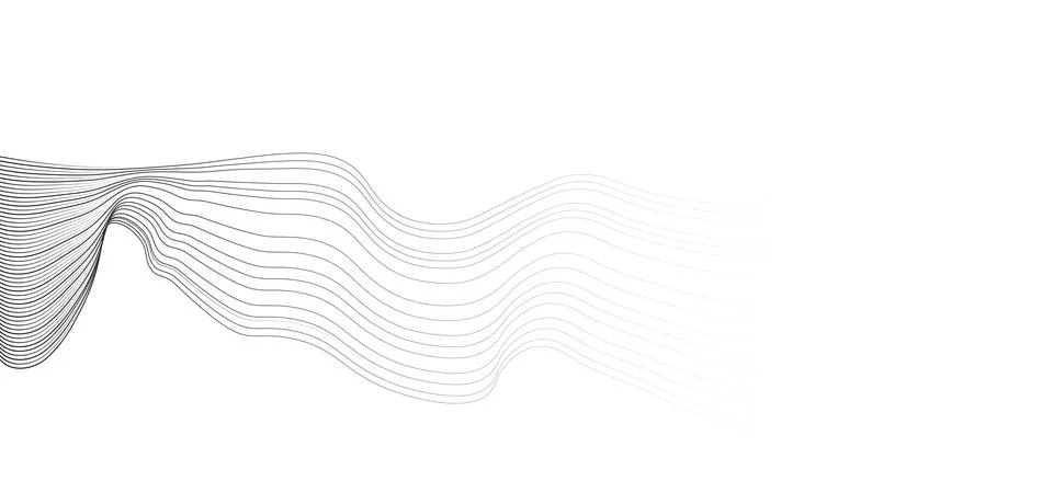 Abstract vector wavy lines flowing smooth curve black grey gradient isolated Stock Illustration