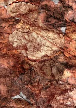 Abstract vegetal background. Mixed media Stock Illustration