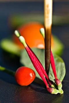 Abstract veggies Stock Photos