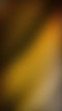 Abstract vertical background with brown yellow and gray grainy blur gradien.. Stock Photos
