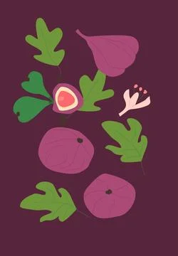 Abstract vertical fruit fig poster, vector flat illustration Stock Illustration