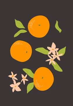 Abstract vertical fruit poster, vector flat illustration 스톡 일러스트