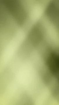 Abstract vertical grainy background in olive green sage and light lime colors Stock-Illustration