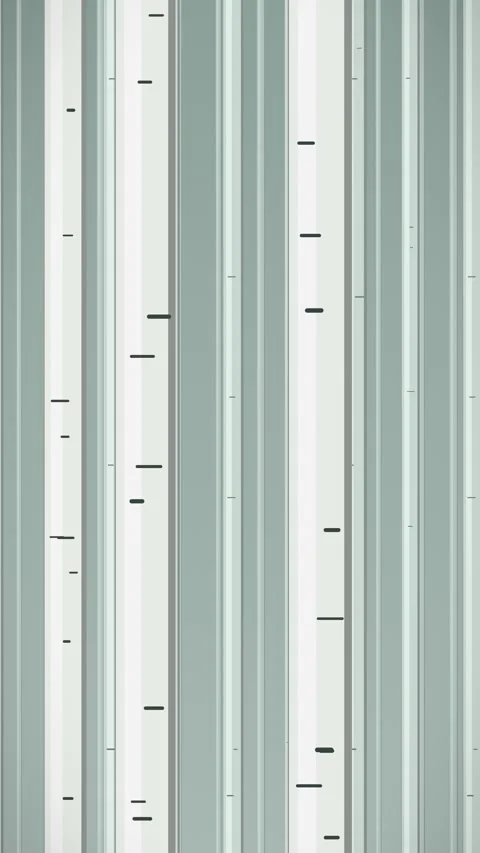 Abstract vertical gray lines pattern. 2d animation Stock Footage 344380968