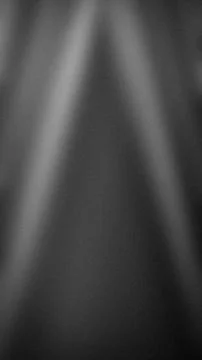 Abstract vertical grayscale background with grainy texture and subtle gradi.. Stock Photos