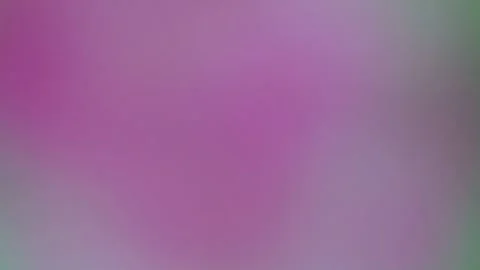 Abstract Vertical Lightning Lines on Pink Gradient Background Stock Footage 329744440