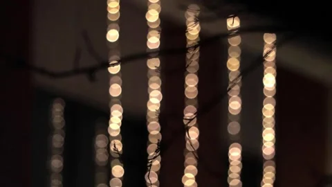 Abstract vertical lights background, christmas  Stock Footage 247442568