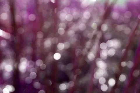 Abstract vertical motion blur background with nature tones . Stock Photos