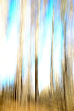 Abstract Vertical Motion Blur Trees – Fine Art ICM Photography Stock Photos