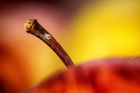 Abstract vibrant apple macro clode up stock photo Stock Photos
