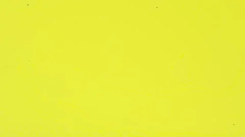 Abstract vibrant fluid motion with pink yellow and green paint swirls Видео 331662460