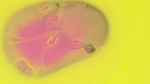 Abstract vibrant fluid motion with pink yellow and green paint swirls Stock Footage 331662668