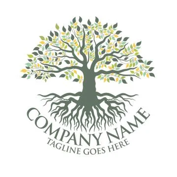 Abstract vibrant tree logo design, root vector - Tree of life logo design inspir Stock Illustration