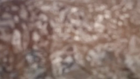 Abstract video of a blurred water surface in a river or lake. Stock Footage 196746380
