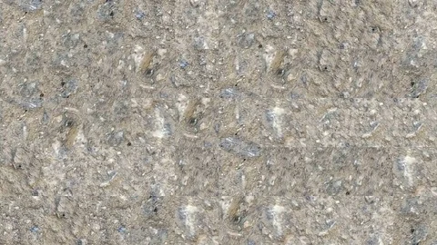 Abstract video of mosaic textures Stock Footage 129979236