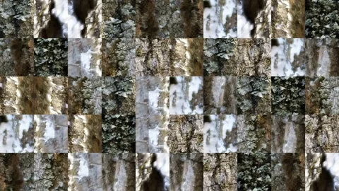 Abstract video of mosaic textures Stock Footage 129979593