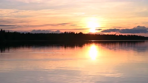 Abstract view of the closeup dandelion Stock Footage 161116505