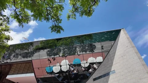 Abstract view of flying birds, sky, trees and modern building and sea water Stock Footage 276505802