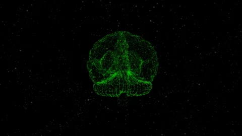 Abstract view on green human brain anatomical model in open space. Stock Footage 121803720