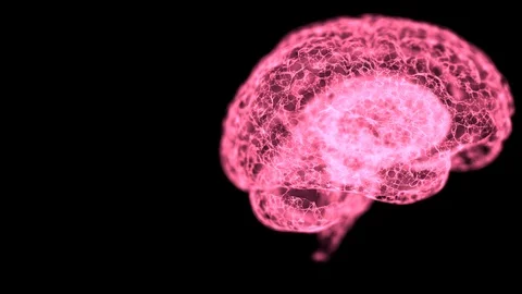 Abstract view on human brain anatomical model in open space. Stock Footage 121810443