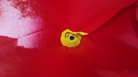Abstract view from inside a bright Moldovan flag tunnel Stock Footage 336941411