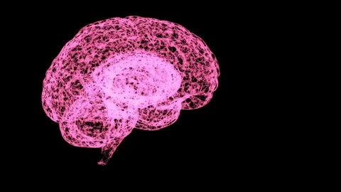 Abstract view on pink human brain anatomical model in open space. Stock Footage 121809608