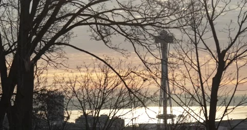 Abstract view on the Seattle space needle during  dusk at winter through trees Stock Footage 217429831