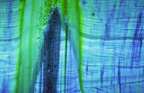 Abstract view of vase Stock Photos