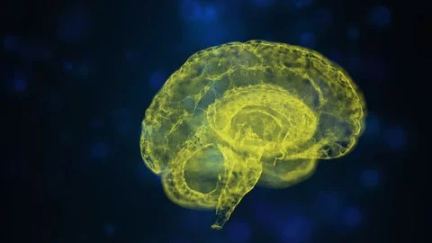 Abstract view on yellow human brain anatomical model floating in open space Stock Footage 121805256
