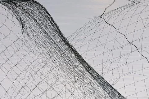 Abstract views of protective nets against birds on fish ponds Stock Photos